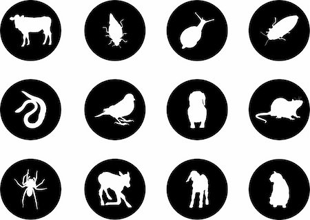 Animals. Set of 12 round vector buttons for web Stock Photo - Budget Royalty-Free & Subscription, Code: 400-04635160