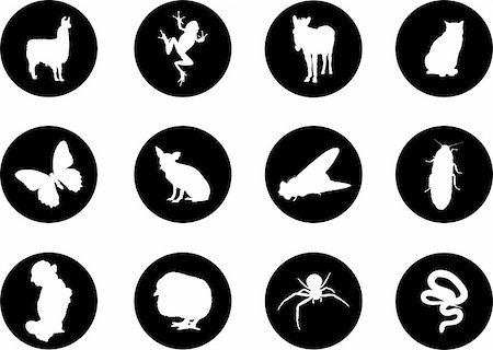 Animals. Set of 12 round vector buttons for web Stock Photo - Budget Royalty-Free & Subscription, Code: 400-04635161