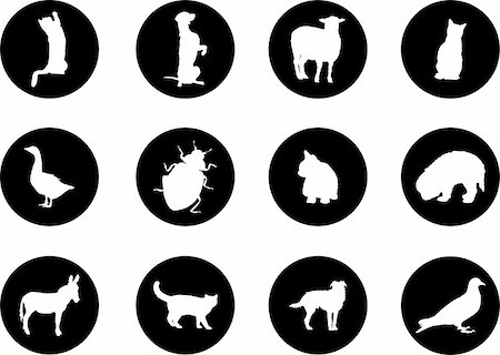 Animals. Set of 12 round vector buttons for web Stock Photo - Budget Royalty-Free & Subscription, Code: 400-04635162