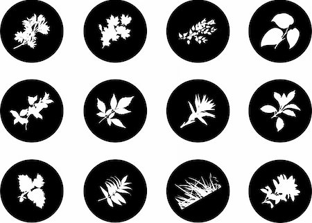 simsearch:640-02950655,k - The set from silhouettes of leaves, is presented in the form of 12 buttons. Stockbilder - Microstock & Abonnement, Bildnummer: 400-04635185