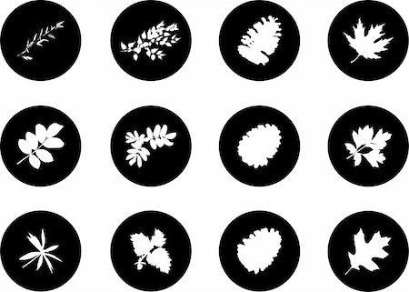 simsearch:640-02950655,k - The set from silhouettes of leaves, is presented in the form of 12 buttons. Stockbilder - Microstock & Abonnement, Bildnummer: 400-04635186