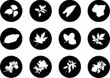 simsearch:640-02950655,k - The set from silhouettes of leaves, is presented in the form of 12 buttons. Stockbilder - Microstock & Abonnement, Bildnummer: 400-04635187