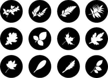 simsearch:640-02950655,k - The set from silhouettes of leaves, is presented in the form of 12 buttons. Stockbilder - Microstock & Abonnement, Bildnummer: 400-04635188