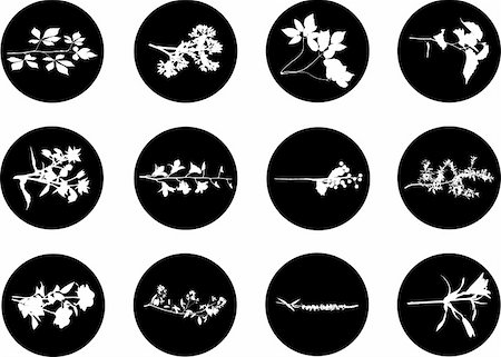 simsearch:640-02950655,k - The set from silhouettes of leaves, is presented in the form of 12 buttons. Stockbilder - Microstock & Abonnement, Bildnummer: 400-04635189