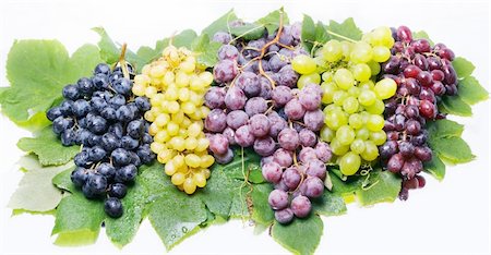 farmers harvesting grapes - grape Stock Photo - Budget Royalty-Free & Subscription, Code: 400-04635768