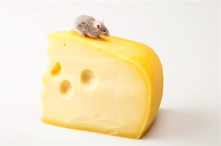 decoy - Funny mouse on the cheese Stock Photo - Budget Royalty-Free & Subscription, Code: 400-04636235