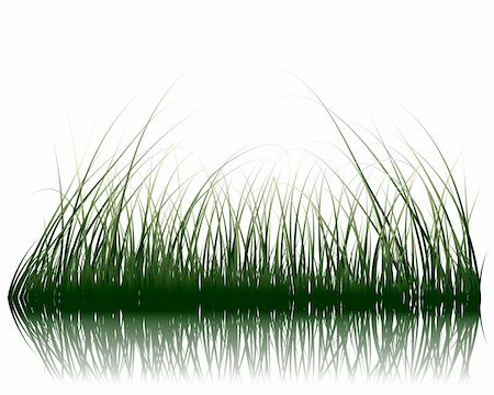 simsearch:400-04804407,k - Vector grass silhouettes background with reflection in water. All objects are separated. Stock Photo - Budget Royalty-Free & Subscription, Code: 400-04636317