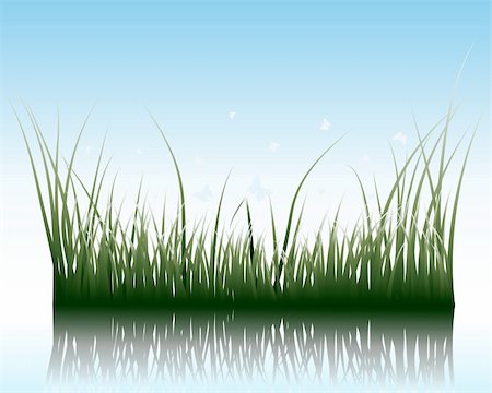 simsearch:400-04804407,k - Vector grass silhouettes background with reflection in water. All objects are separated. Stock Photo - Budget Royalty-Free & Subscription, Code: 400-04636318