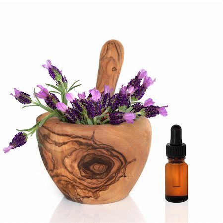 simsearch:400-07175956,k - Lavender herb flowers in an olive wood mortar with pestle, with an aromatherapy essential oil glass dropper bottle, over white background. Stock Photo - Budget Royalty-Free & Subscription, Code: 400-04636370