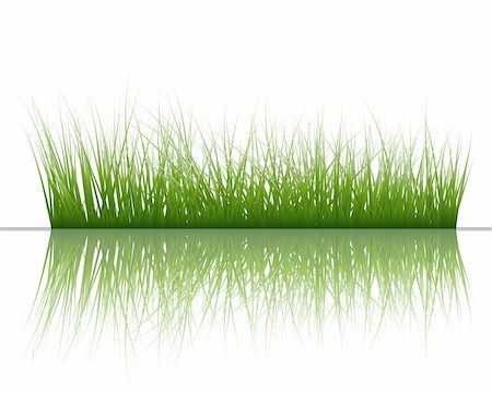 simsearch:400-04804407,k - Vector grass silhouettes background with reflection in water. All objects are separated. Stock Photo - Budget Royalty-Free & Subscription, Code: 400-04637146