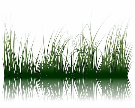 simsearch:400-04804407,k - Vector grass silhouettes background with reflection in water. All objects are separated. Stock Photo - Budget Royalty-Free & Subscription, Code: 400-04637143