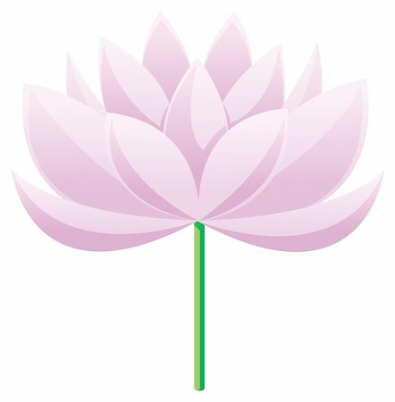 simsearch:400-04749038,k - Lotus flower isolated on a white background Foto de stock - Royalty-Free Super Valor e Assinatura, Número: 400-04637834