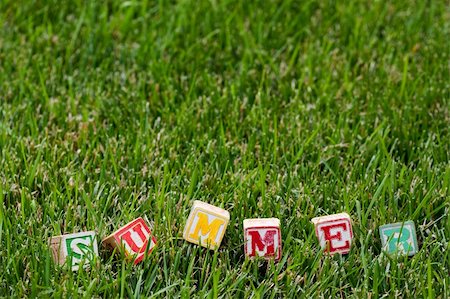 simsearch:400-07099266,k - Wooden baby block spelling the word summer in grass Fotografie stock - Microstock e Abbonamento, Codice: 400-04638273