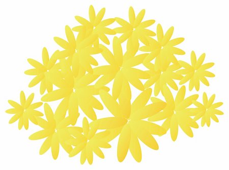 simsearch:400-04436052,k - a group of yellow daisy in a white background Stock Photo - Budget Royalty-Free & Subscription, Code: 400-04638604