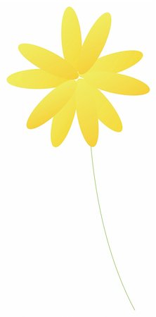 simsearch:400-04436052,k - A daisy flower isolate in a white background Stock Photo - Budget Royalty-Free & Subscription, Code: 400-04638608