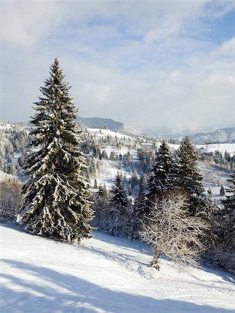 simsearch:400-04820244,k - winter calm mountain landscape with rime and snow covered spruce trees Photographie de stock - Aubaine LD & Abonnement, Code: 400-04638971