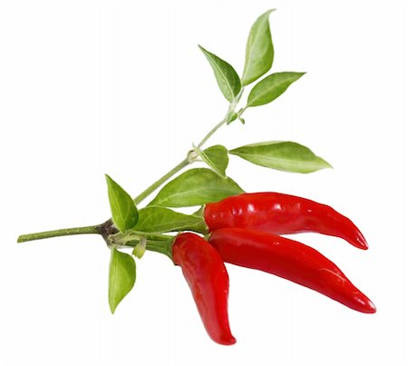 dole (artist) - three red hot peppers on branch isolated on white Photographie de stock - Aubaine LD & Abonnement, Code: 400-04639133