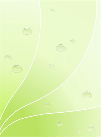 simsearch:400-04130290,k - Water drops on leaf. Vector art. Stock Photo - Budget Royalty-Free & Subscription, Code: 400-04630808