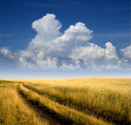 This is hot, solar day. The Road be on field with ripened by rye. Fotografie stock - Microstock e Abbonamento, Codice: 400-04631157