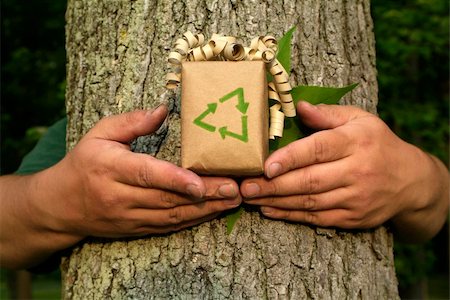 Unrecognizable Environmentalist person holding gift with recycling symbol in front of tree bark and leaf Photographie de stock - Aubaine LD & Abonnement, Code: 400-04632670