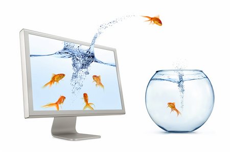 A goldfish jumping out of computer monitor to escape to fishbowl (real world) on white background. Stock Photo - Budget Royalty-Free & Subscription, Code: 400-04633478