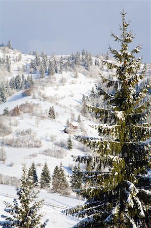 simsearch:400-04319458,k - winter calm mountain landscape with rime and snow covered spruce trees Stock Photo - Budget Royalty-Free & Subscription, Code: 400-04633499