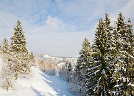 simsearch:400-04319458,k - winter calm mountain landscape with rime and snow covered spruce trees Stock Photo - Budget Royalty-Free & Subscription, Code: 400-04633500