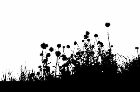 Grass silhouette black Stock Photo - Budget Royalty-Free & Subscription, Code: 400-04644433