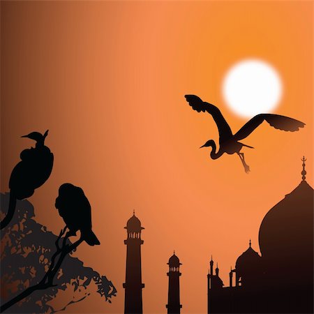 silhouettes of eagle in tree - view of Taj Mahal, agra, India, birds, sun Stock Photo - Budget Royalty-Free & Subscription, Code: 400-04645273