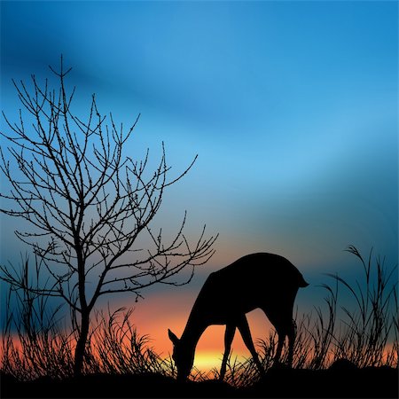 rain forest grass - silhouette view of a deer eating grass Stock Photo - Budget Royalty-Free & Subscription, Code: 400-04645282