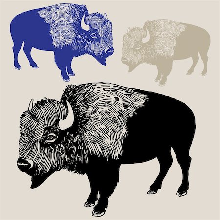simsearch:400-04160980,k - Hand drawn sketch of Bison / Buffalo. Stock Photo - Budget Royalty-Free & Subscription, Code: 400-04645599