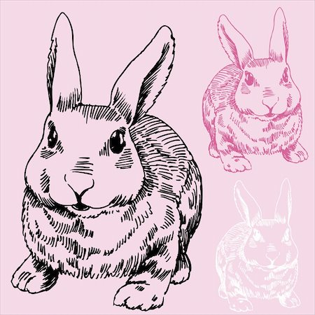 simsearch:400-04160980,k - Hand drawn sketch of a Bunny / Rabbit. Stock Photo - Budget Royalty-Free & Subscription, Code: 400-04645604