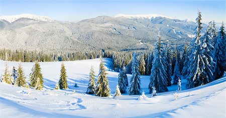 Winter calm mountain landscape with rime and snow covered spruce trees (view from Bukovel ski resort, Ukraine). Two shots stitch image. Stock Photo - Budget Royalty-Free & Subscription, Code: 400-04647478