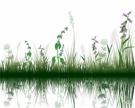 simsearch:400-04804407,k - Vector grass silhouettes background with reflection in water. All objects are separated. Stock Photo - Budget Royalty-Free & Subscription, Code: 400-04647589