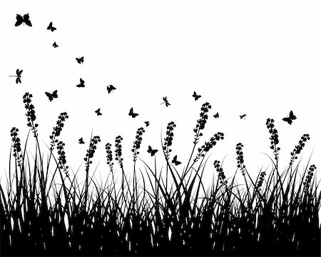 simsearch:400-08615799,k - Vector grass silhouettes background. All objects are separated. Stock Photo - Budget Royalty-Free & Subscription, Code: 400-04647592