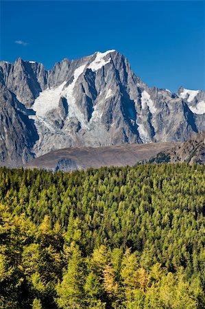 Mountain landscape: larch woods over high mountain peak (Grand Jourasses, Mont Blanc, italian Alps), vertical frame, fall season. Fotografie stock - Microstock e Abbonamento, Codice: 400-04647671