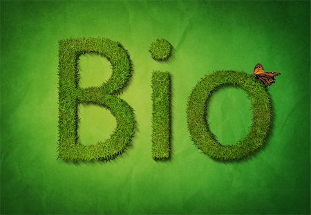 The text Bio in made out of grass  on a green textured background Stock Photo - Budget Royalty-Free & Subscription, Code: 400-04648202