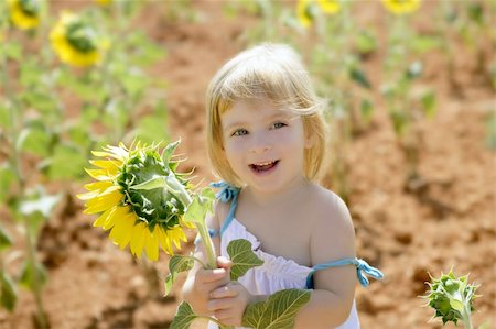 rural american and family - Beautiful little girl in a summer sunflower colorful field Foto de stock - Super Valor sin royalties y Suscripción, Código: 400-04649254