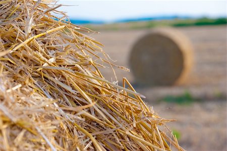simsearch:400-04872162,k - a bale of straw Stock Photo - Budget Royalty-Free & Subscription, Code: 400-04640505