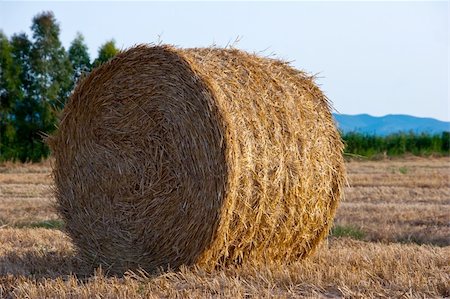 simsearch:400-04872162,k - a bale of straw Stock Photo - Budget Royalty-Free & Subscription, Code: 400-04640506