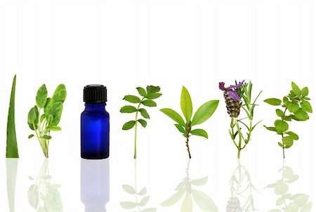 simsearch:400-04085229,k - Herb leaf and flower selection with an aromatherapy essential oil glass bottle, over white background with reflection. Foto de stock - Royalty-Free Super Valor e Assinatura, Número: 400-04640763