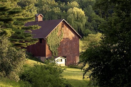 Old dairy barn in the spring Stock Photo - Budget Royalty-Free & Subscription, Code: 400-04641086