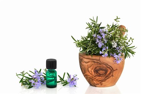 simsearch:400-06521200,k - Rosemary and thyme herb leaf sprigs with flowers in an olive wood mortar with pestle and an aromatherapy essential oil glass bottle, over white background. Stock Photo - Budget Royalty-Free & Subscription, Code: 400-04642044