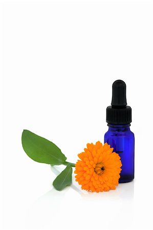 simsearch:400-07175956,k - Calendula flower and aromatherapy essential oil glass bottle, over white background. Stock Photo - Budget Royalty-Free & Subscription, Code: 400-04642045