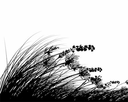 Vector grass silhouettes background. All objects are separated. Stock Photo - Budget Royalty-Free & Subscription, Code: 400-04642130