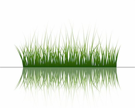 simsearch:400-04804407,k - Vector grass silhouettes background with reflection in water. All objects are separated. Stock Photo - Budget Royalty-Free & Subscription, Code: 400-04642179