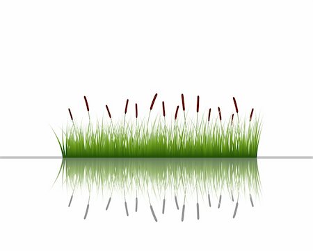 simsearch:400-04804407,k - Vector grass silhouettes background with reflection in water. All objects are separated. Stock Photo - Budget Royalty-Free & Subscription, Code: 400-04642180