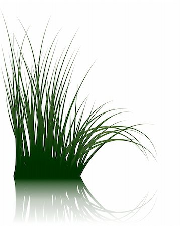 simsearch:400-04804407,k - Vector grass silhouettes background with reflection in water. All objects are separated. Stock Photo - Budget Royalty-Free & Subscription, Code: 400-04642182