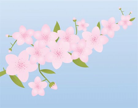 simsearch:400-07035863,k - on a spring blue background with room for your text Stockbilder - Microstock & Abonnement, Bildnummer: 400-04642596