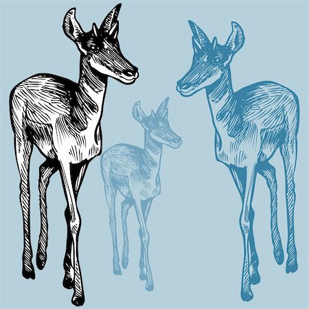 simsearch:400-04645691,k - Hand-drawn sketch of an antelope. Stock Photo - Budget Royalty-Free & Subscription, Code: 400-04642794